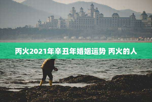丙火2021年辛丑年婚姻运势 丙火的人