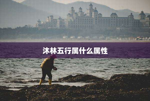 沐林五行属什么属性