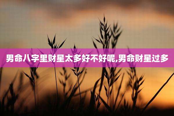 男命八字里财星太多好不好呢,男命财星过多