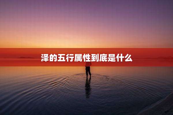 泽的五行属性到底是什么