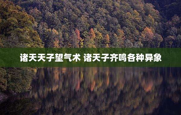 诸天天子望气术 诸天子齐鸣各种异象