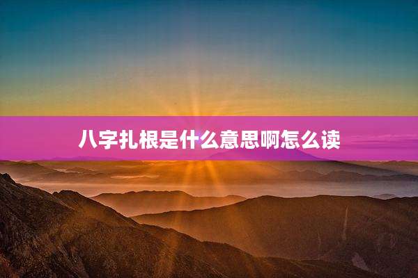 八字扎根是什么意思啊怎么读
