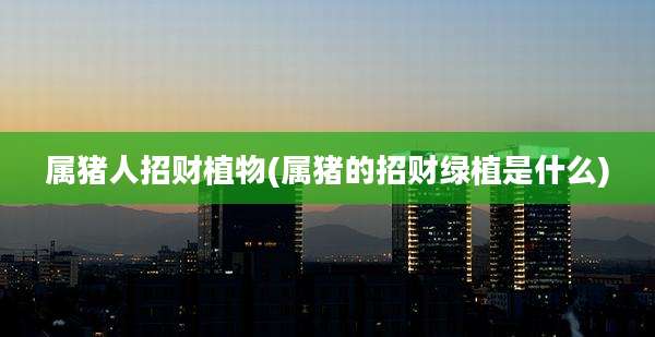 属猪人招财植物(属猪的招财绿植是什么)