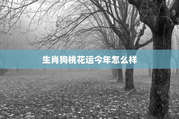 生肖狗桃花运今年怎么样