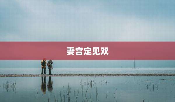 妻宫定见双