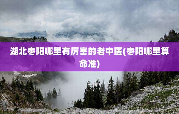 湖北枣阳哪里有厉害的老中医(枣阳哪里算命准)