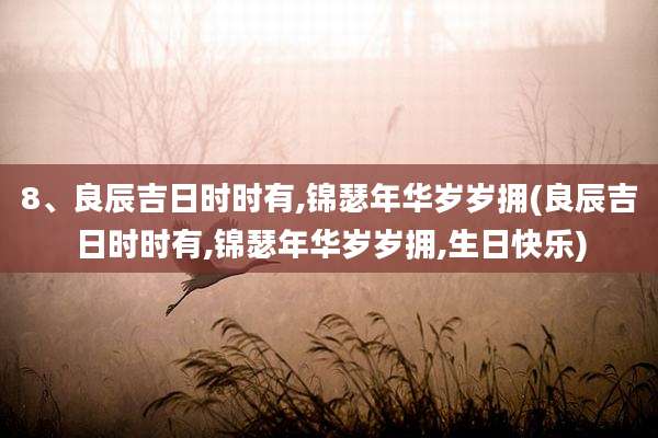 8、良辰吉日时时有,锦瑟年华岁岁拥(良辰吉日时时有,锦瑟年华岁岁拥,生日快乐)