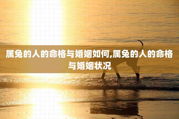 属兔的人的命格与婚姻如何,属兔的人的命格与婚姻状况