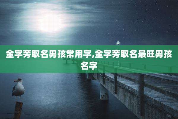 金字旁取名男孩常用字,金字旁取名最旺男孩名字