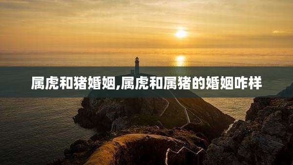 属虎和猪婚姻,属虎和属猪的婚姻咋样