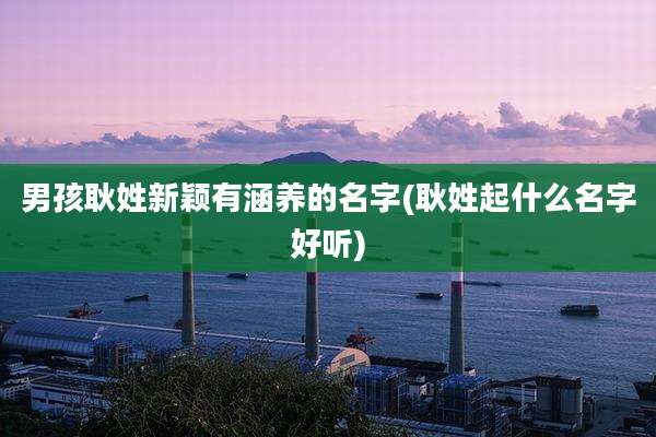 男孩耿姓新颖有涵养的名字(耿姓起什么名字好听)