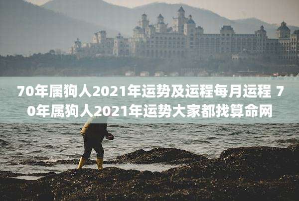70年属狗人2021年运势及运程每月运程 70年属狗人2021年运势大家都找算命网
