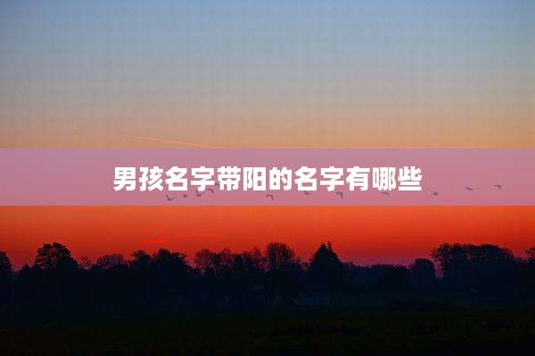 男孩名字带阳的名字有哪些