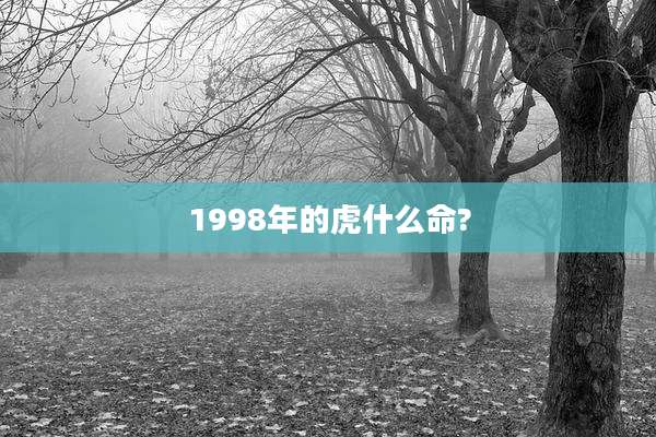 1998年的虎什么命?