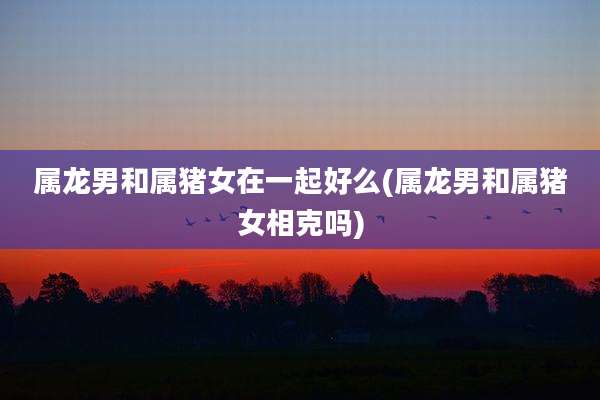 属龙男和属猪女在一起好么(属龙男和属猪女相克吗)