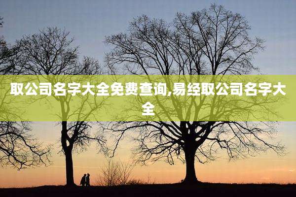 取公司名字大全免费查询,易经取公司名字大全