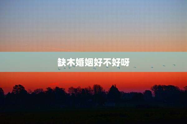 缺木婚姻好不好呀