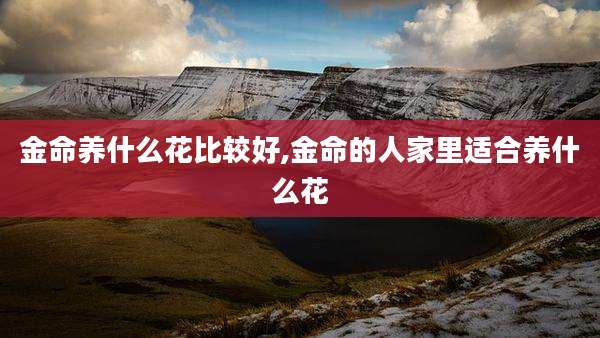 金命养什么花比较好,金命的人家里适合养什么花