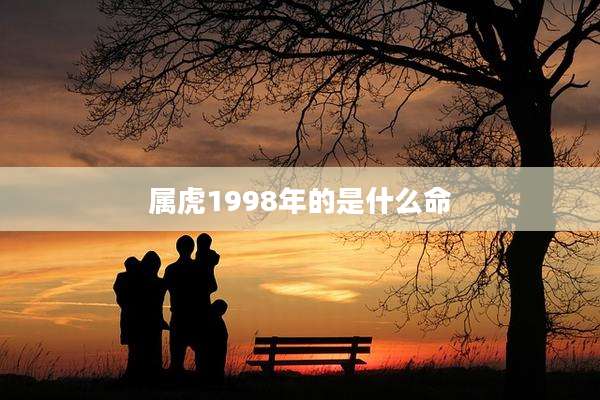 属虎1998年的是什么命
