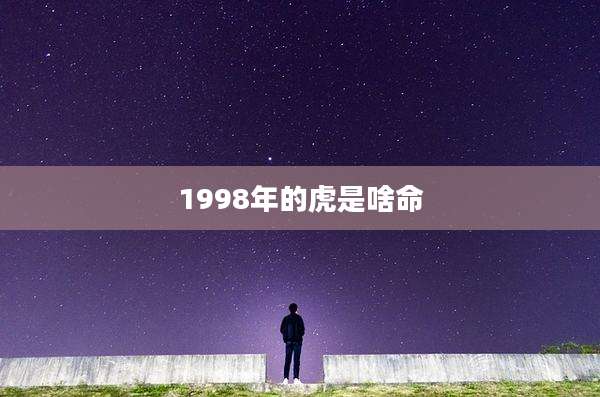 1998年的虎是啥命