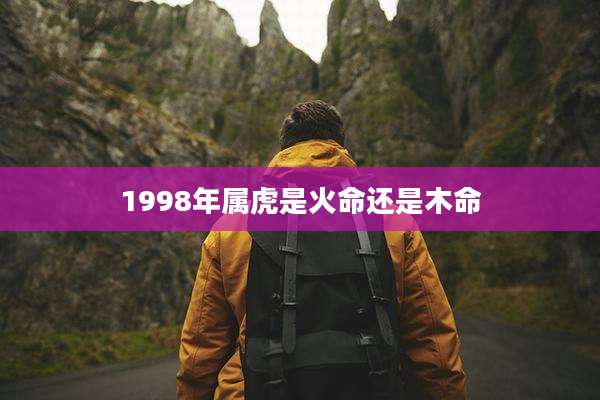 1998年属虎是火命还是木命