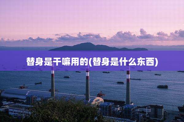 替身是干嘛用的(替身是什么东西)