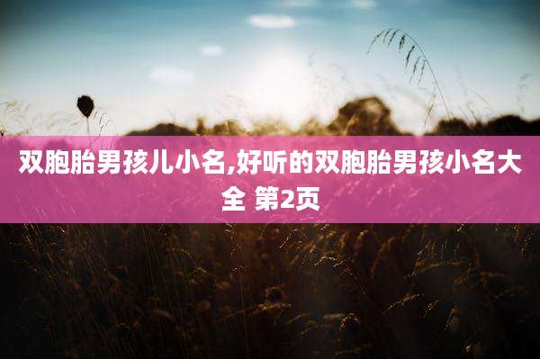 双胞胎男孩儿小名,好听的双胞胎男孩小名大全 第2页