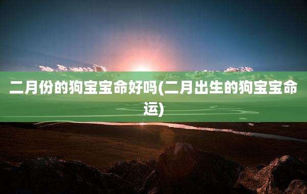 二月份的狗宝宝命好吗(二月出生的狗宝宝命运)