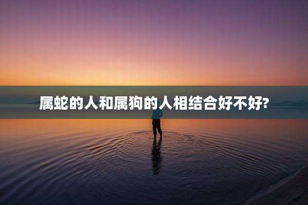 属蛇的人和属狗的人相结合好不好?