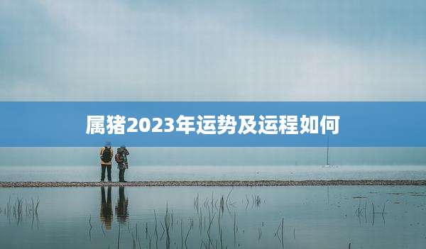 属猪2023年运势及运程如何
