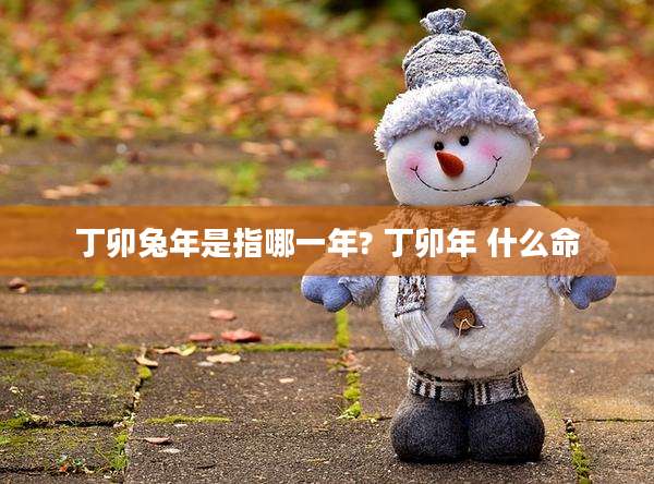 丁卯兔年是指哪一年? 丁卯年 什么命