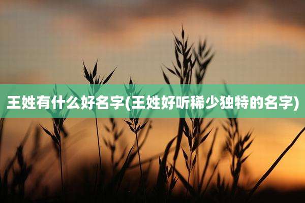王姓有什么好名字(王姓好听稀少独特的名字)