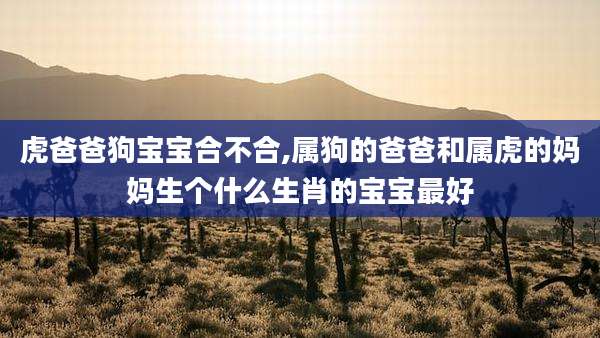虎爸爸狗宝宝合不合,属狗的爸爸和属虎的妈妈生个什么生肖的宝宝最好
