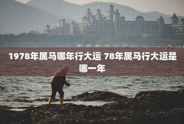 1978年属马哪年行大运 78年属马行大运是哪一年
