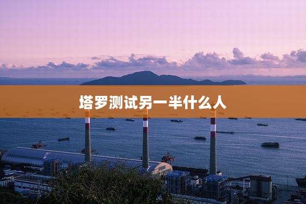 塔罗测试另一半什么人