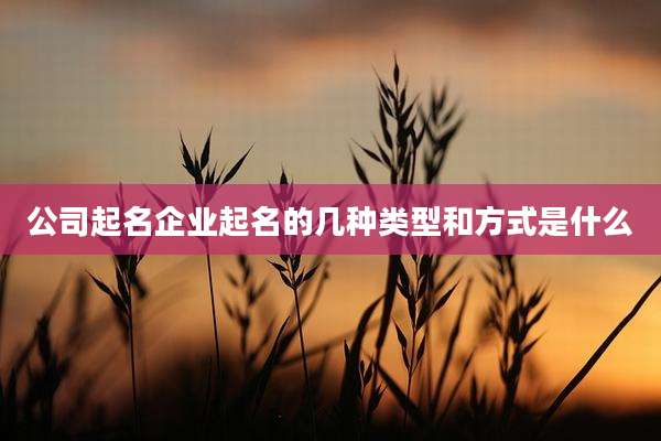 公司起名企业起名的几种类型和方式是什么