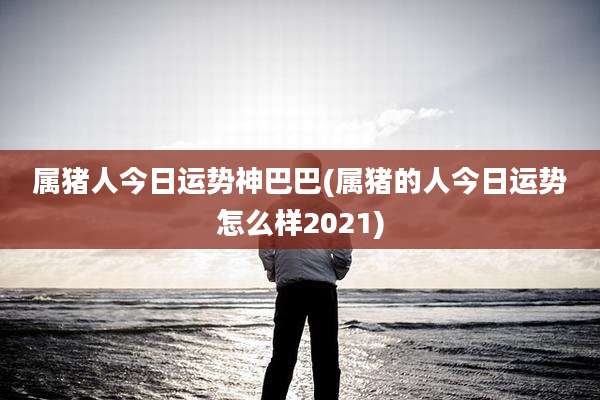 属猪人今日运势神巴巴(属猪的人今日运势怎么样2021)