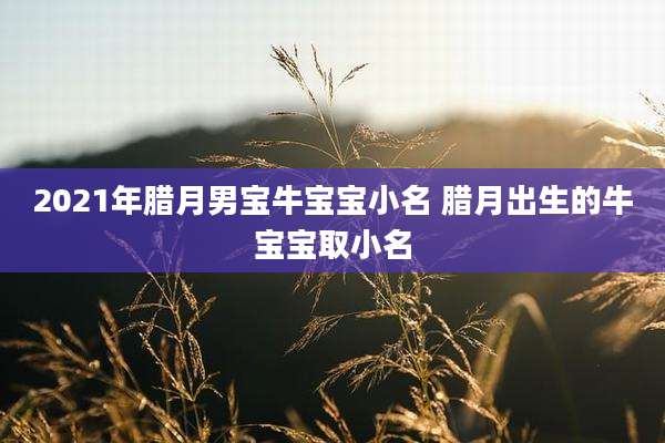 2021年腊月男宝牛宝宝小名 腊月出生的牛宝宝取小名