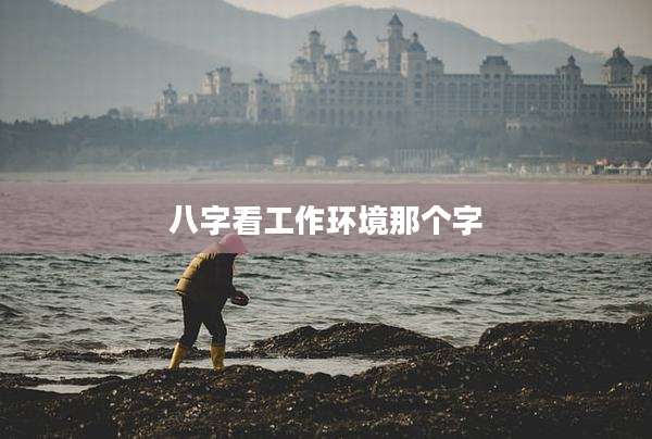 八字看工作环境那个字