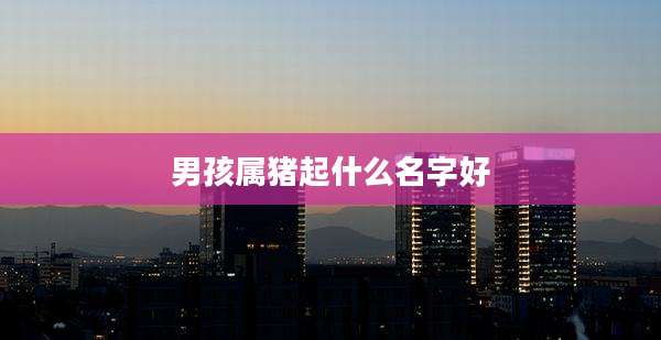男孩属猪起什么名字好