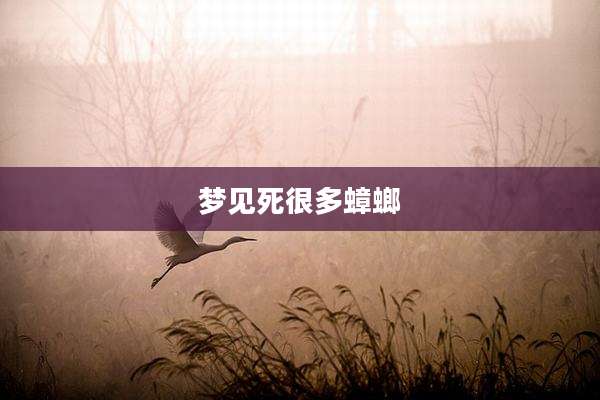 梦见死很多蟑螂