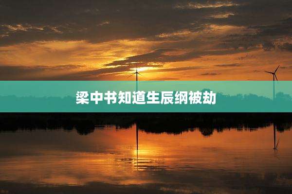 梁中书知道生辰纲被劫