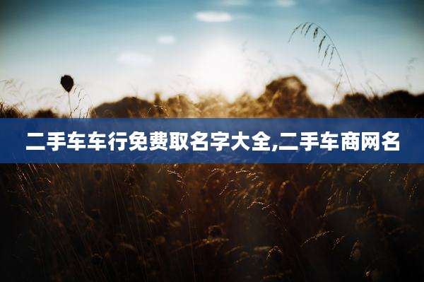 二手车车行免费取名字大全,二手车商网名