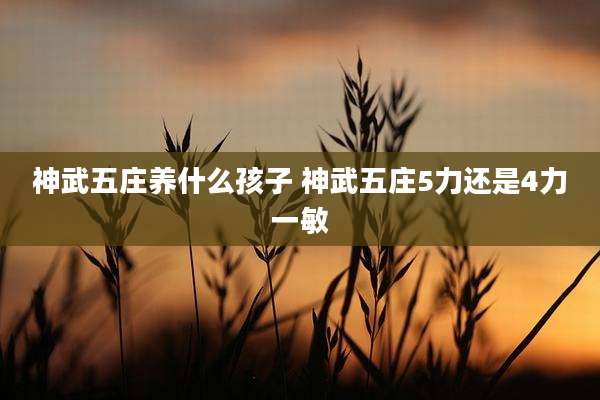 神武五庄养什么孩子 神武五庄5力还是4力一敏