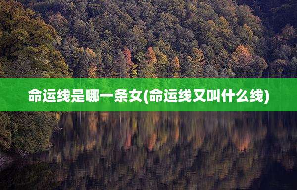 命运线是哪一条女(命运线又叫什么线)