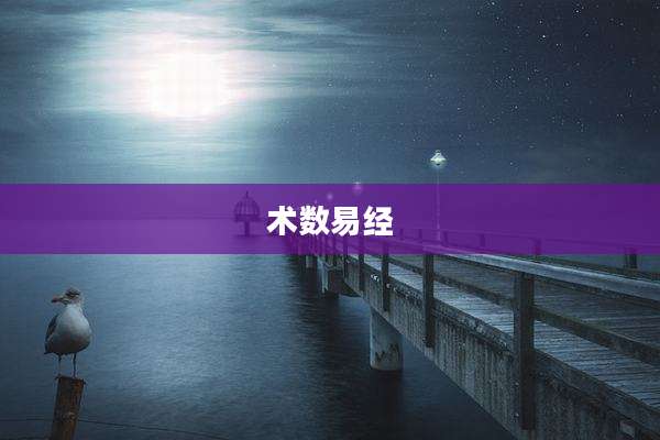 术数易经