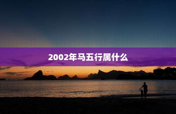 2002年马五行属什么