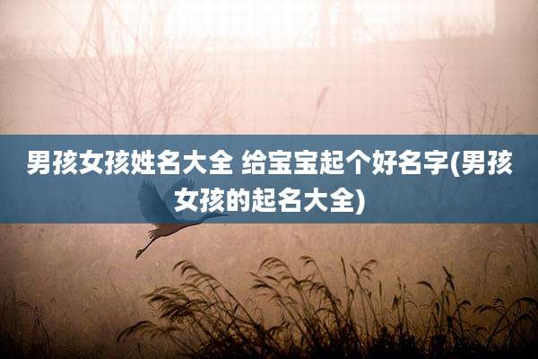 男孩女孩姓名大全 给宝宝起个好名字(男孩女孩的起名大全)