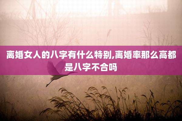 离婚女人的八字有什么特别,离婚率那么高都是八字不合吗