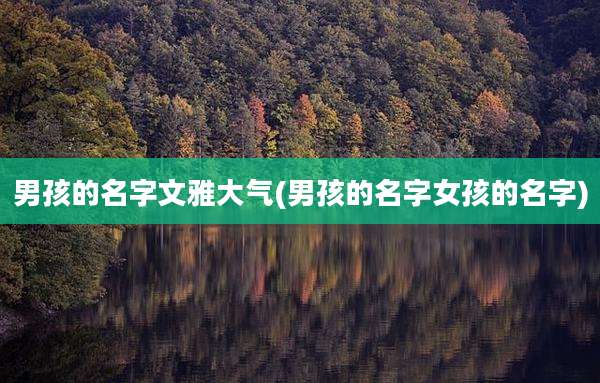 男孩的名字文雅大气(男孩的名字女孩的名字)